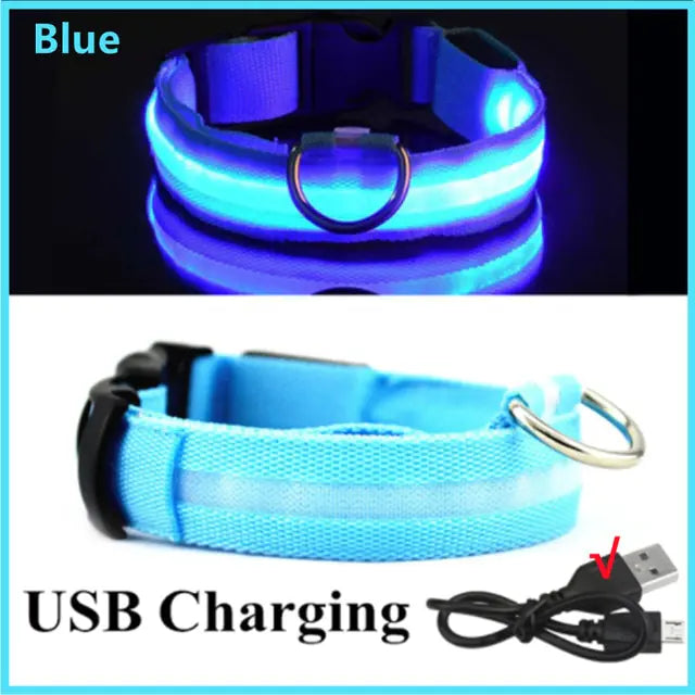 Glowing Dog Collar  Happy Pet3 Blue USB Charging XLNeck 42-56 CM 