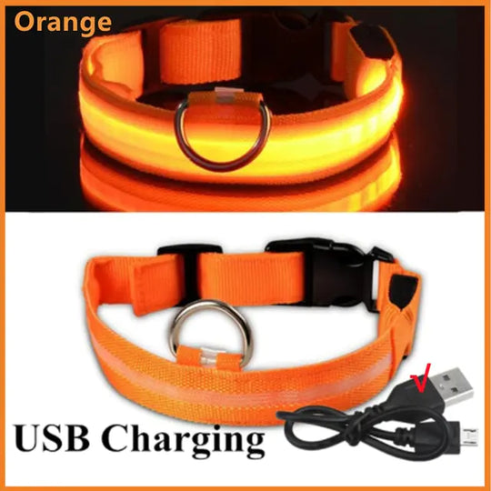 Glowing Dog Collar  Happy Pet3 Orange USB Charging XXL Neck 43-62 CM 