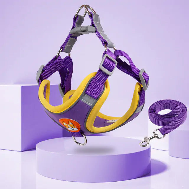 Reflective Pet Harness And Leash Set  Happy Pet3 Purple M(for3.5-6.5kg) 