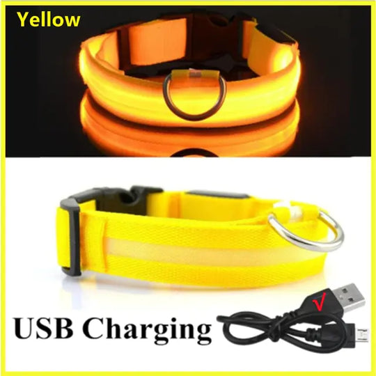 Glowing Dog Collar  Happy Pet3 Yellow USB Charging XXL Neck 43-62 CM 