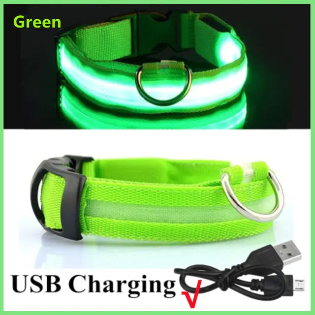 Glowing Dog Collar  Happy Pet3 Green USB Charging XXL Neck 43-62 CM 