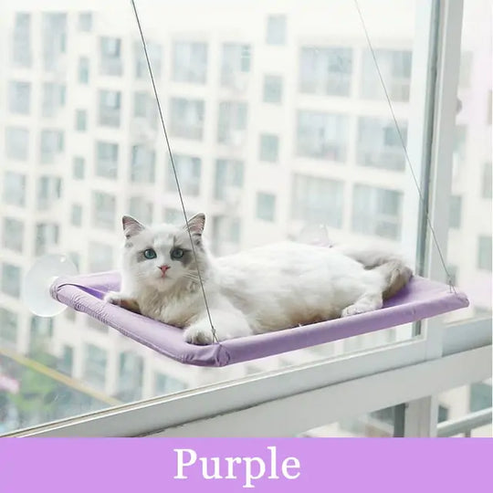 Cat Hanging Bed Shelf  Happy Pet3 Purple  