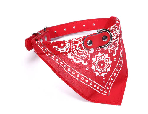 Small Pet Collar PU Adjustable Leather Scar  Happy Pet3   