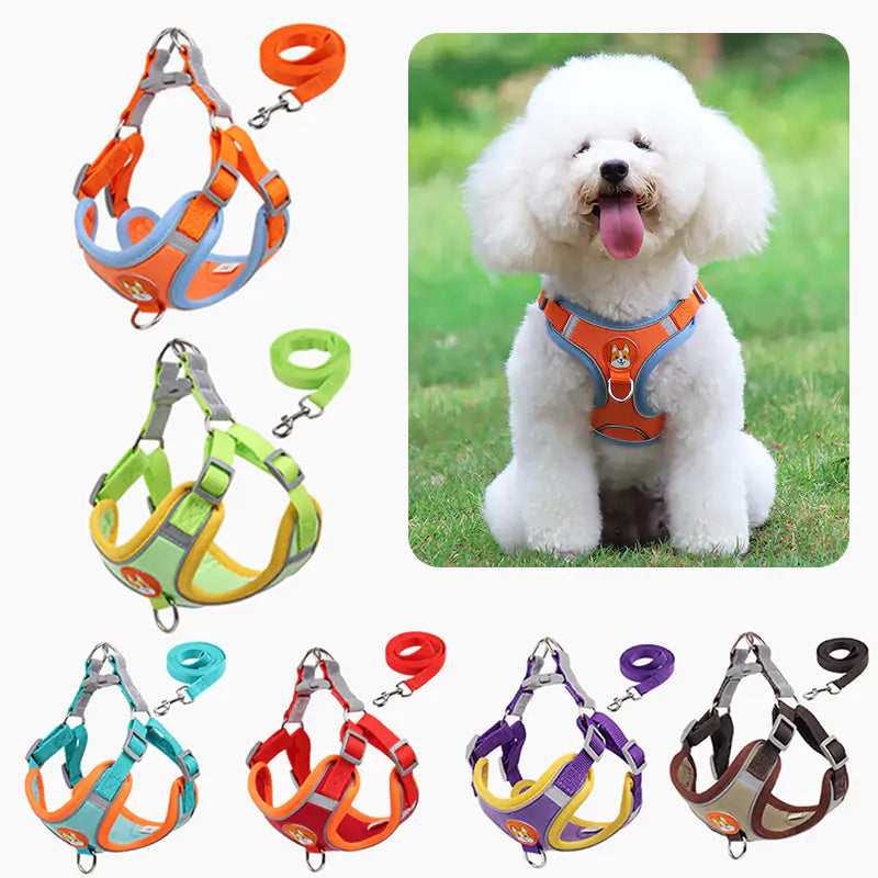 Reflective Pet Harness And Leash Set  Happy Pet3   