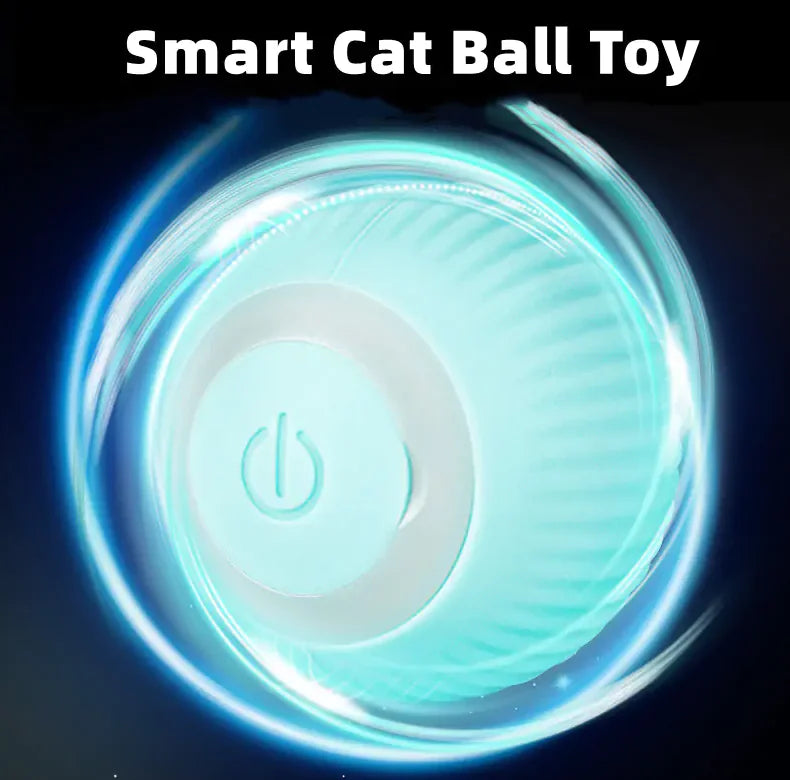 Smart Cat Ball Toys  Happy Pet3   