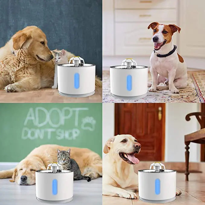 Pet Drinking Electric Dispenser Bowls  Happy Pet3   