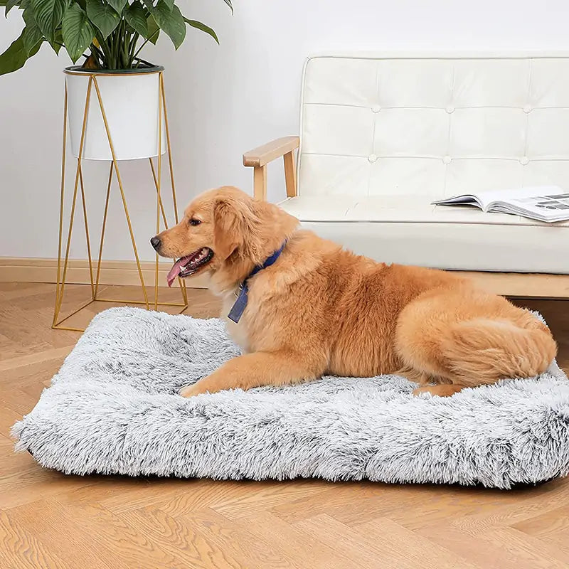 Plush Washable Dog Bed  Happy Pet3   