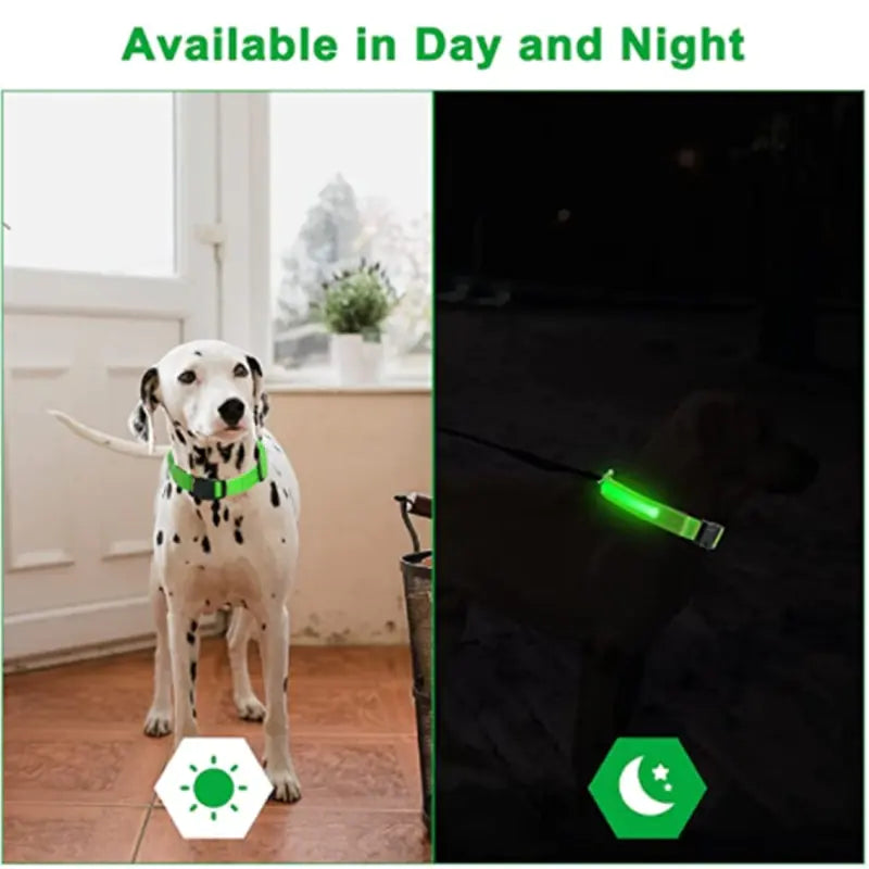 Glowing Dog Collar  Happy Pet3   