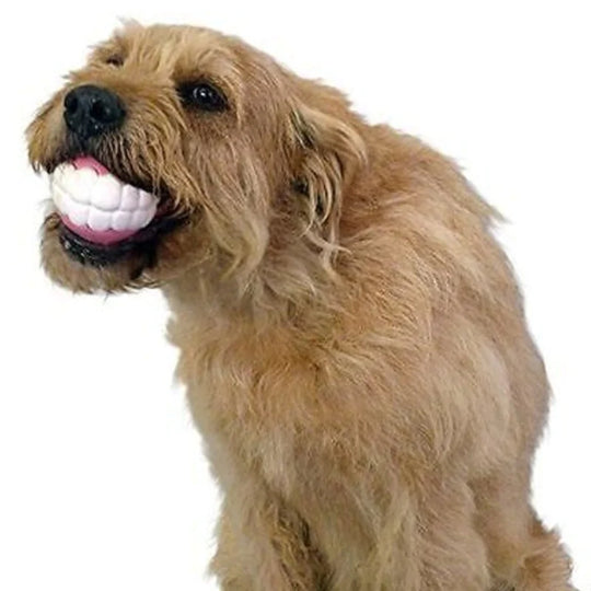 Pet Ball Teeth Silicon Chew Toys for Large Breeds  Happy Pet3   