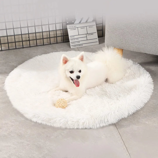 Round Dog Bed  Happy Pet3   