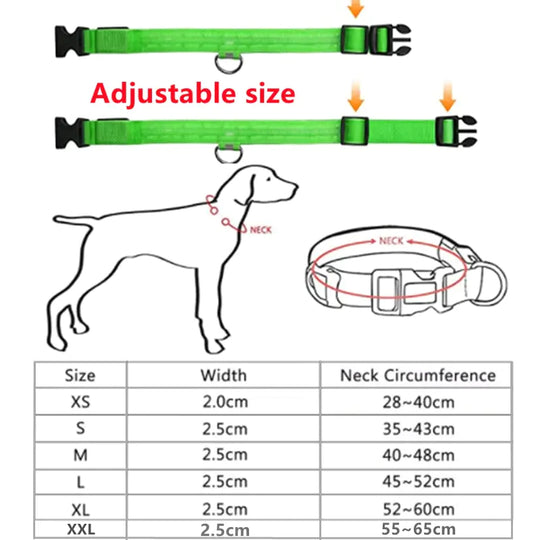 Glowing Dog Collar  Happy Pet3   