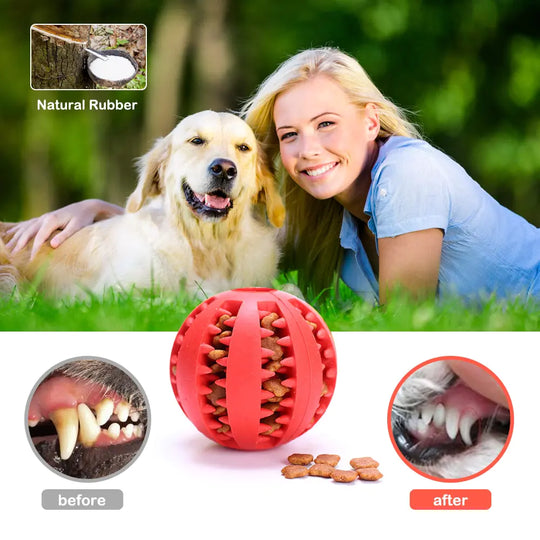 Rubber Balls Chewing Pet Toys  Happy Pet3   