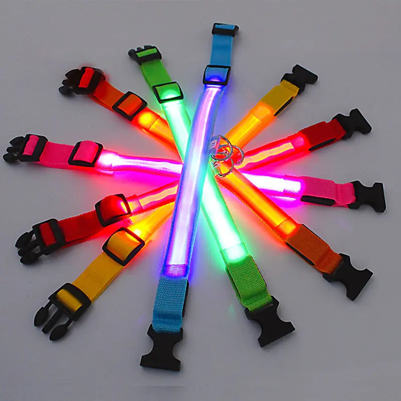 Glowing Dog Collar  Happy Pet3   