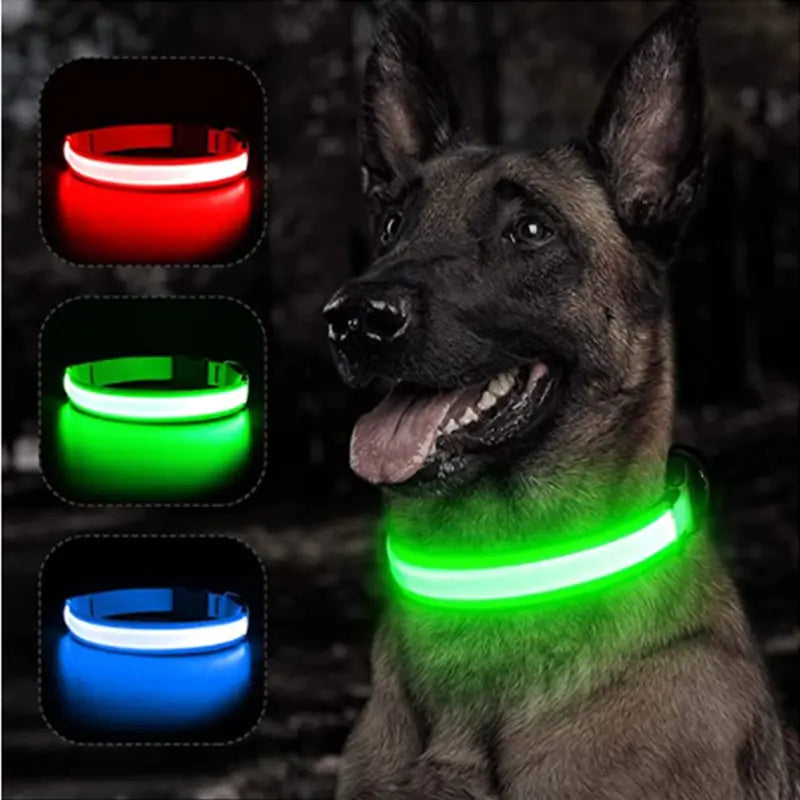 Glowing Dog Collar  Happy Pet3   