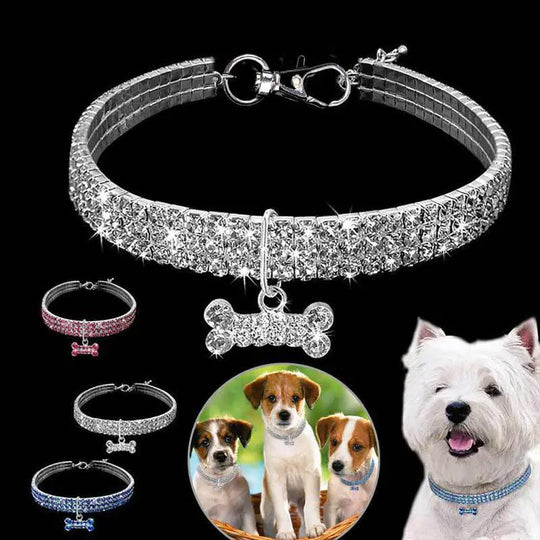 Pet Collar  Happy Pet3   