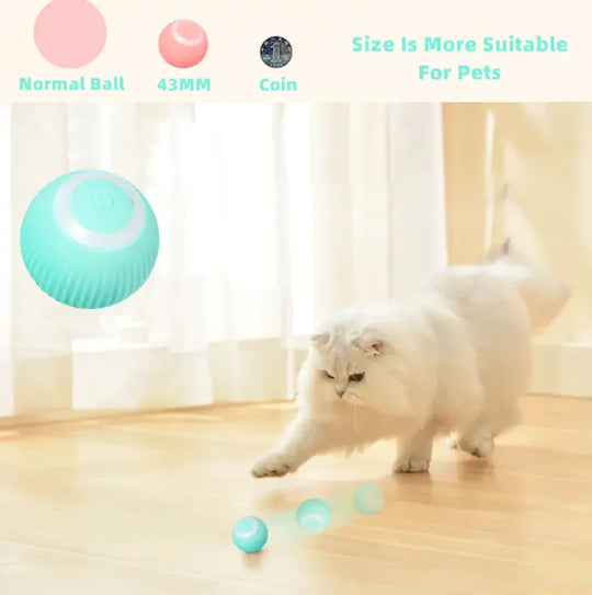 Smart Cat Ball Toys  Happy Pet3   