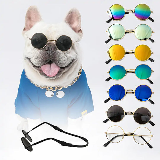 Pet Sunglasses  Happy Pet3   