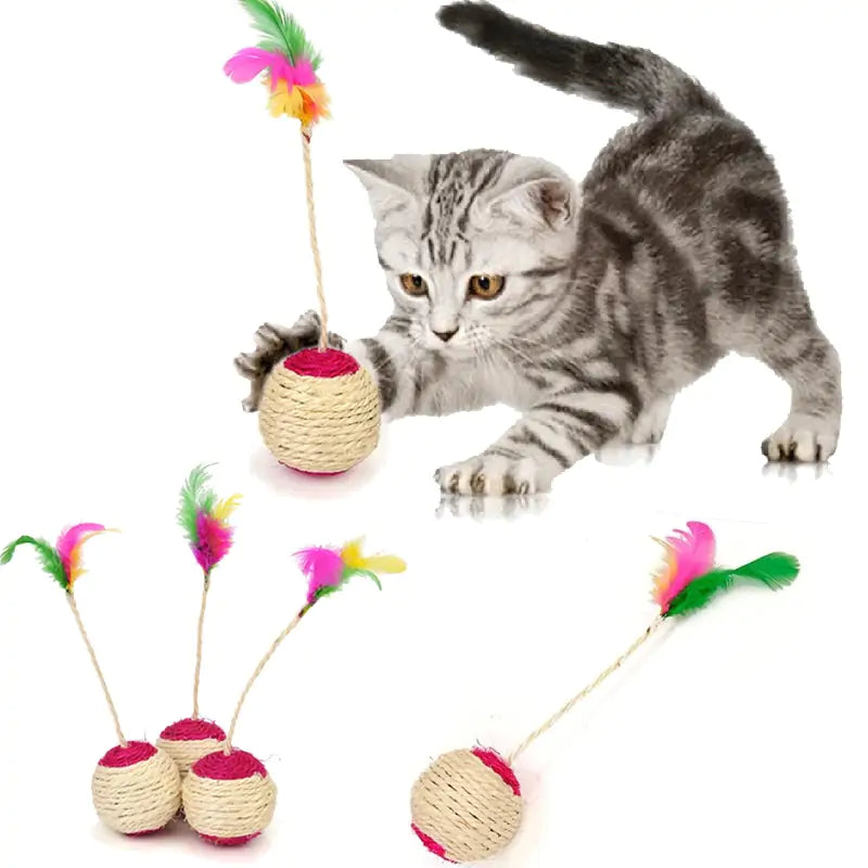 Cat Scratching Ball Toy  Happy Pet3   